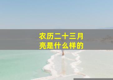 农历二十三月亮是什么样的