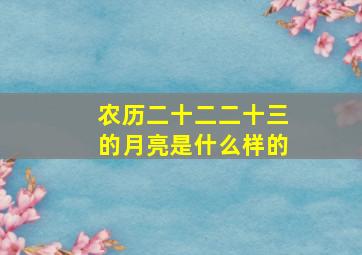 农历二十二二十三的月亮是什么样的