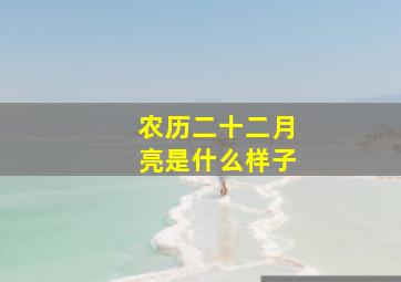 农历二十二月亮是什么样子