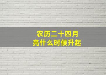 农历二十四月亮什么时候升起