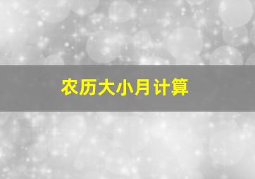 农历大小月计算