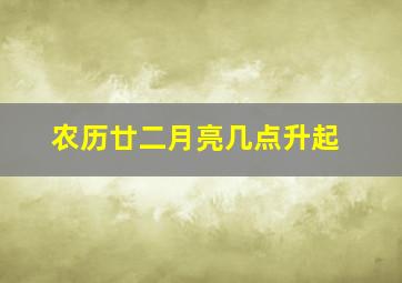 农历廿二月亮几点升起