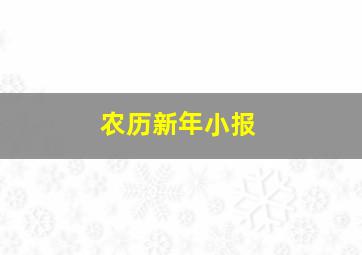 农历新年小报