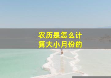 农历是怎么计算大小月份的