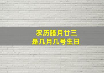 农历腊月廿三是几月几号生日