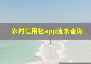 农村信用社app流水查询