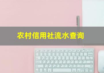 农村信用社流水查询