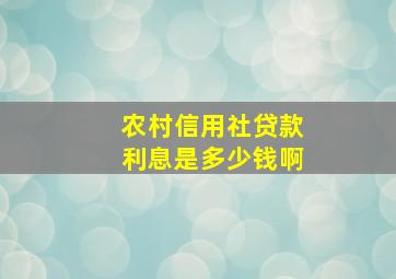 农村信用社贷款利息是多少钱啊