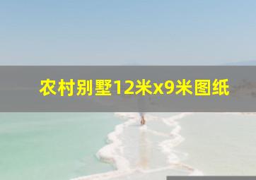 农村别墅12米x9米图纸