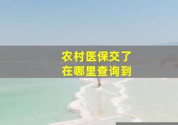 农村医保交了在哪里查询到