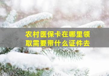 农村医保卡在哪里领取需要带什么证件去