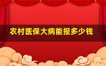 农村医保大病能报多少钱