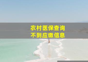 农村医保查询不到应缴信息