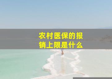 农村医保的报销上限是什么