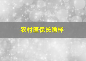 农村医保长啥样