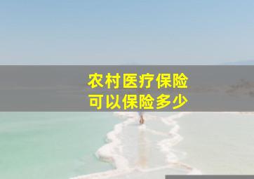 农村医疗保险可以保险多少