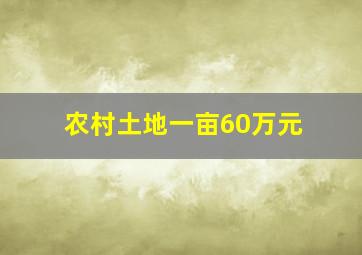 农村土地一亩60万元