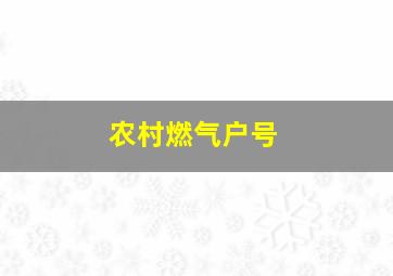 农村燃气户号