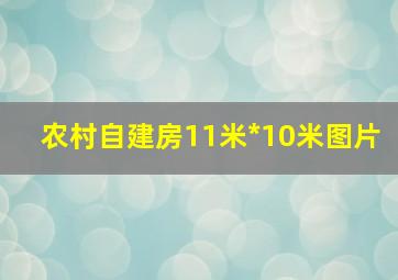 农村自建房11米*10米图片