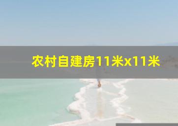 农村自建房11米x11米