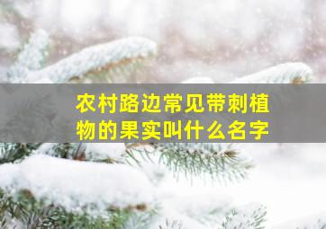 农村路边常见带刺植物的果实叫什么名字