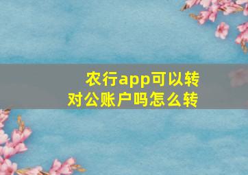 农行app可以转对公账户吗怎么转