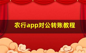 农行app对公转账教程