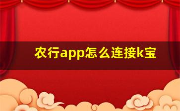 农行app怎么连接k宝