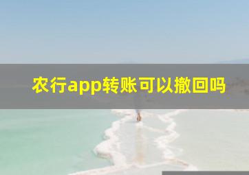 农行app转账可以撤回吗