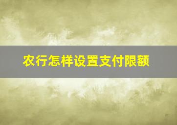 农行怎样设置支付限额