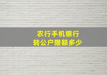 农行手机银行转公户限额多少