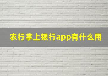 农行掌上银行app有什么用