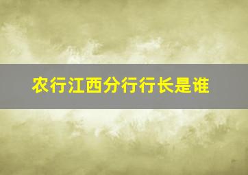 农行江西分行行长是谁