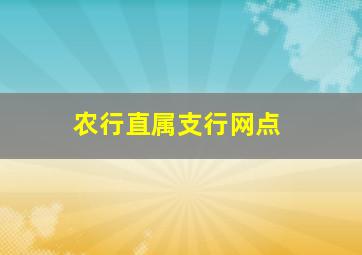 农行直属支行网点