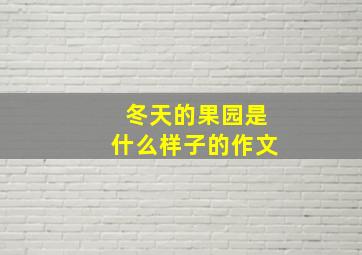 冬天的果园是什么样子的作文