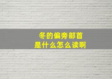 冬的偏旁部首是什么怎么读啊