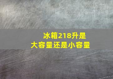 冰箱218升是大容量还是小容量