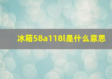 冰箱58a118l是什么意思