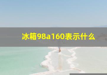 冰箱98a160表示什么