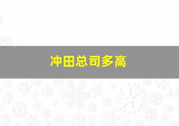 冲田总司多高