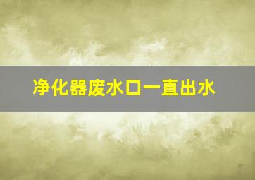 净化器废水口一直出水