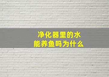 净化器里的水能养鱼吗为什么