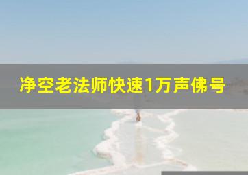 净空老法师快速1万声佛号