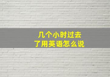 几个小时过去了用英语怎么说