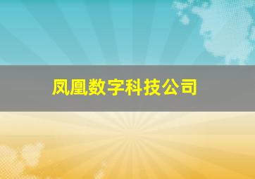 凤凰数字科技公司