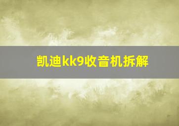 凯迪kk9收音机拆解