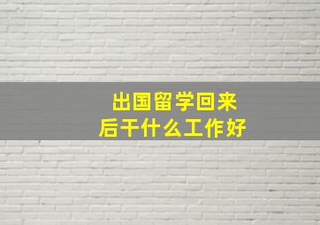 出国留学回来后干什么工作好