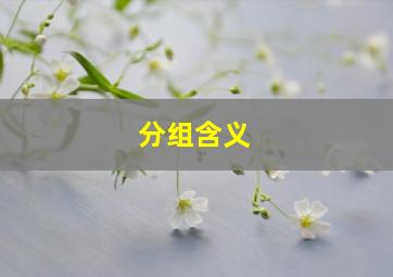 分组含义