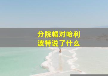 分院帽对哈利波特说了什么