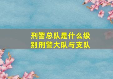 刑警总队是什么级别刑警大队与支队